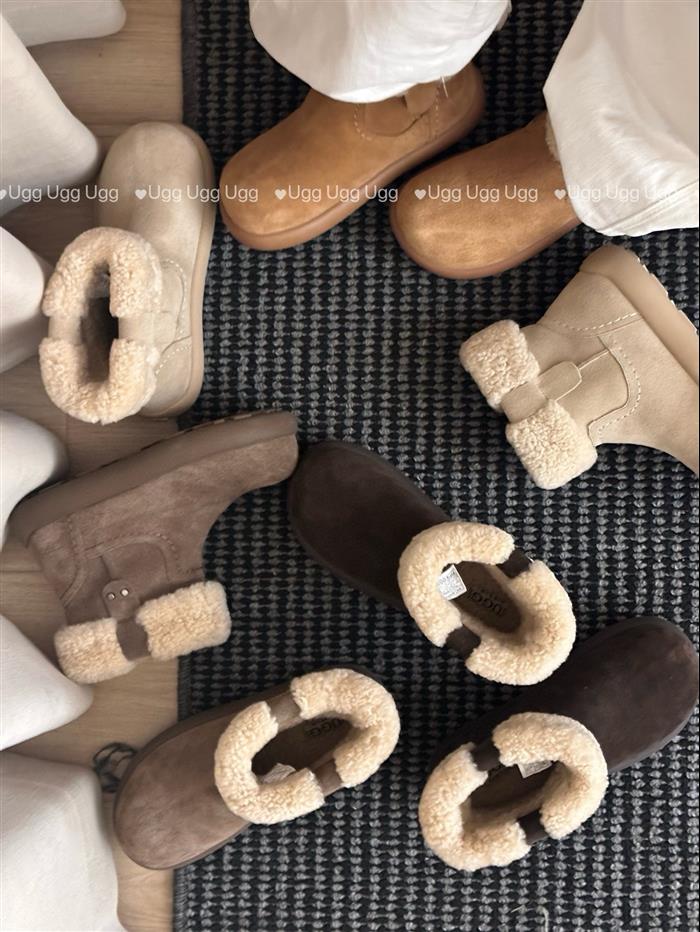 20251128164953779 310